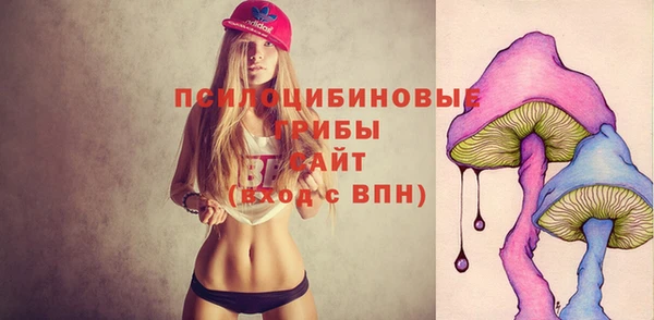2c-b Алзамай