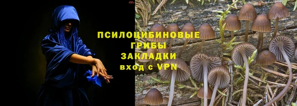 а пвп мука Алексеевка