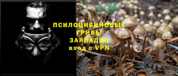2c-b Алзамай