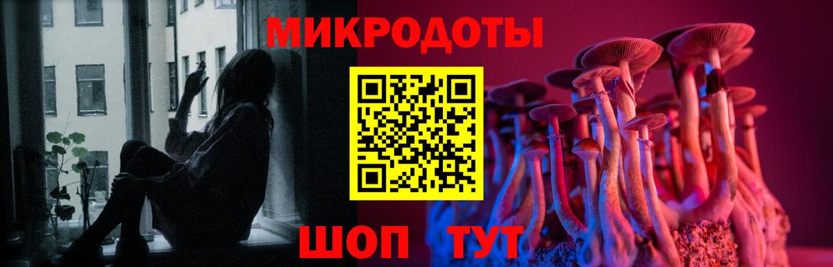 Котельники  Галлюциногенные грибы MAGIC MUSHROOMS  Вход с VPN 